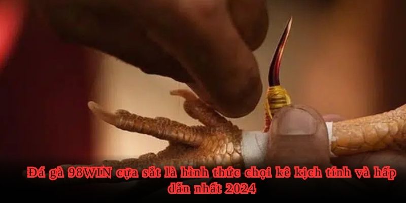 Đá gà 98WIN cựa sắt là hình thức chọi kê kịch tính và hấp dẫn nhất 2024